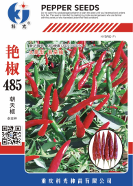 科光种苗“艳椒485”辣椒、“秋实1号”甘蓝分别入选2025年农业主导品种、农作物优良品种推广目录